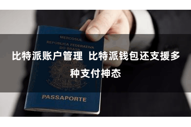 比特派账户管理  比特派钱包还支援多种支付神态