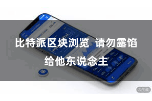 比特派区块浏览 请勿露馅给他东说念主